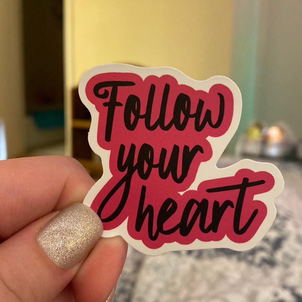 10 Pack Large Vinyl Stickers